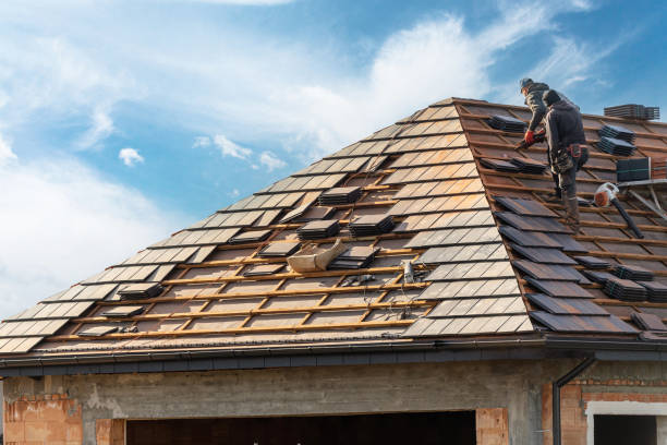 Best Roof Ventilation Installation  in Mesquite, TX
